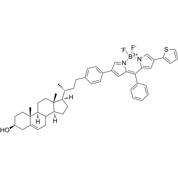 BODIPY-cholesterol conjugate-3 1638745-27-3